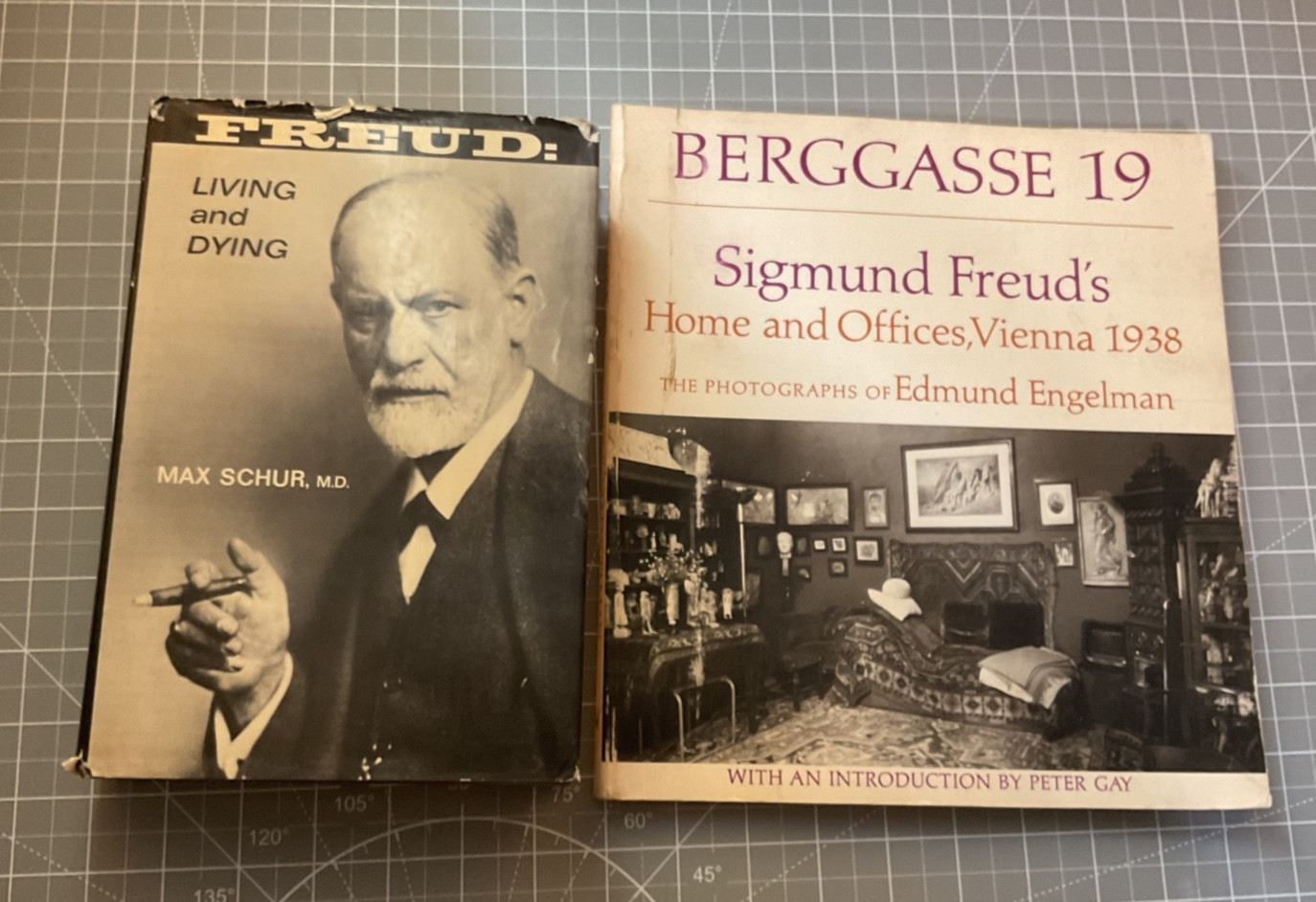 Freud : Living and Dying by Max Schur & Bergasse 19 by Edmund Engelman