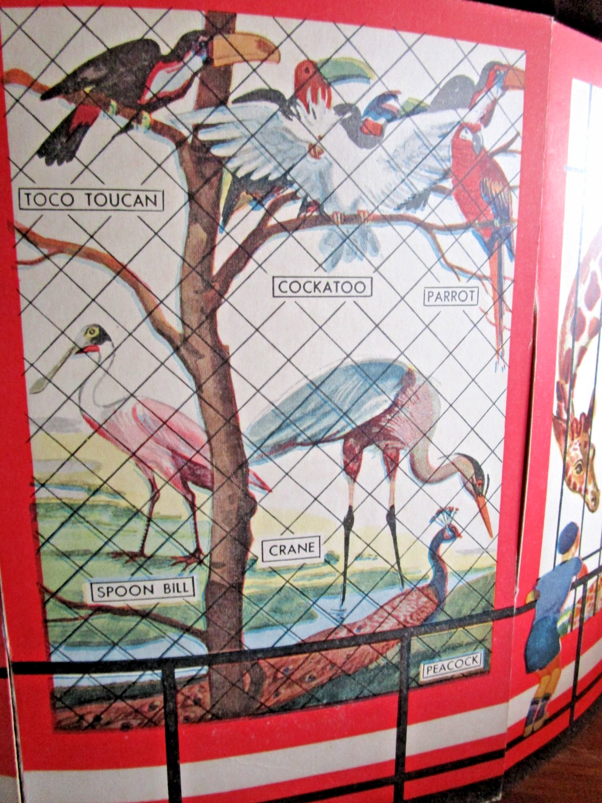 1938 ULTRA RARE Zoo Book-Toy CIRCUS Big Top Tent BRACKER Chaffee CHILDRENS
