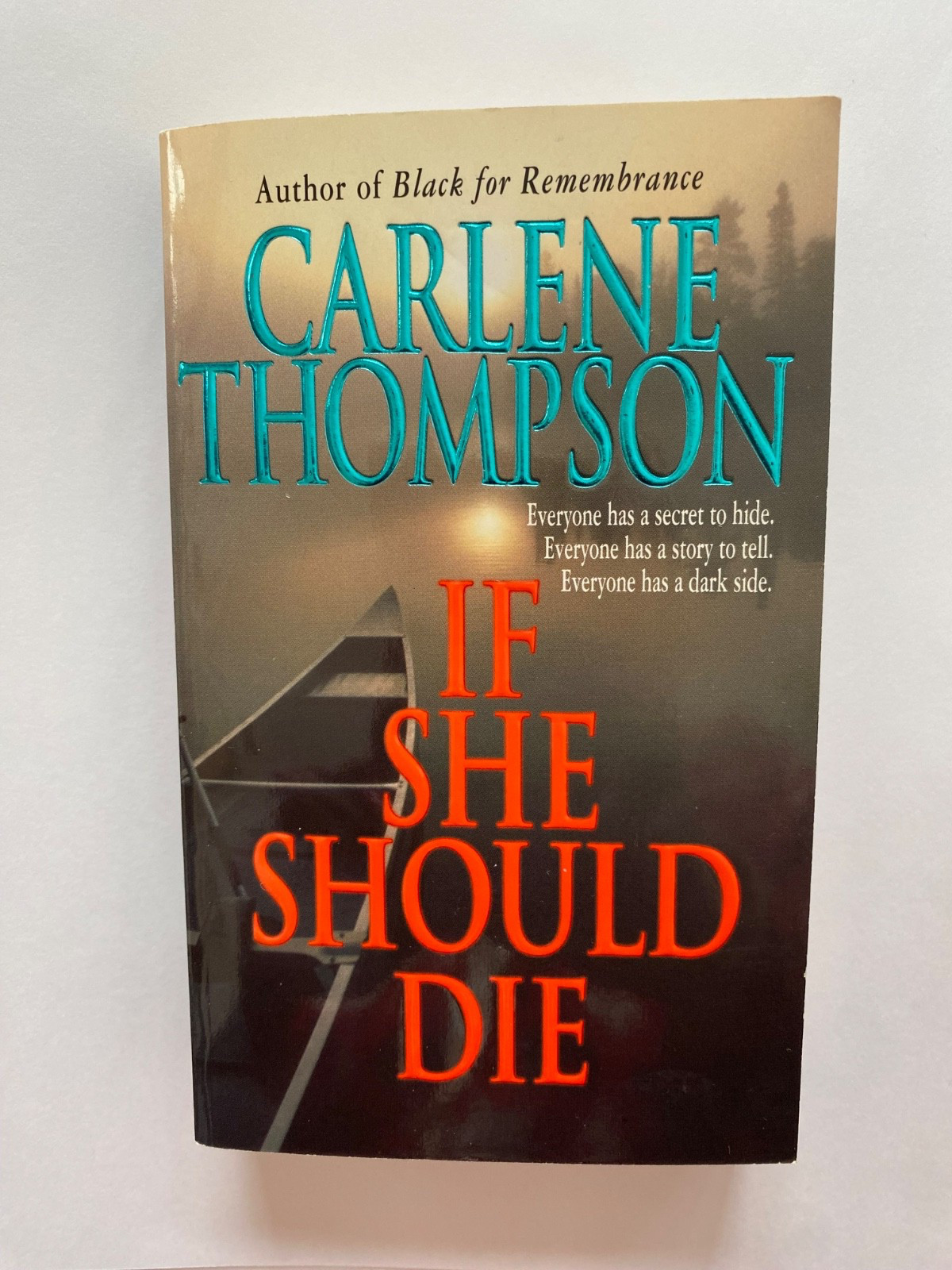 IF SHE SHOULD DIE by Carlee Thompson 422 pages a suspenseful mystery novel