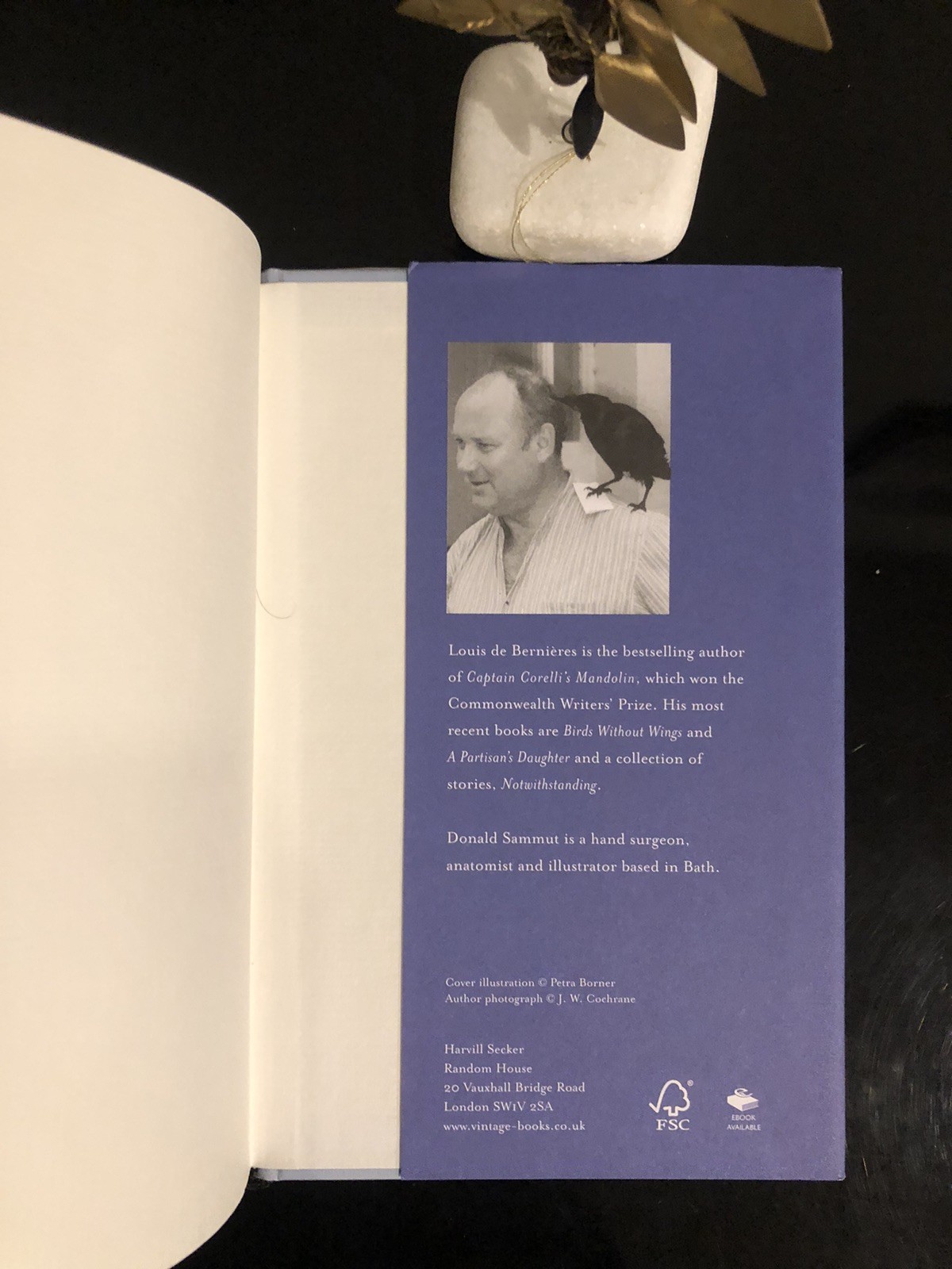 Poetry Imagining Alexandria Louis De Bernieres Harvill &Secker 2013 F.Ed/F.Pr.LN