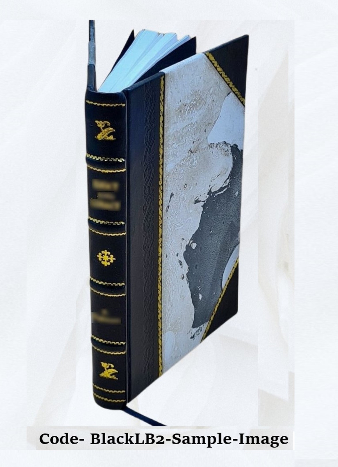 The Mechanical Factors Of Digestion 1911 By Walter B. Cannon [Leather Bound]
