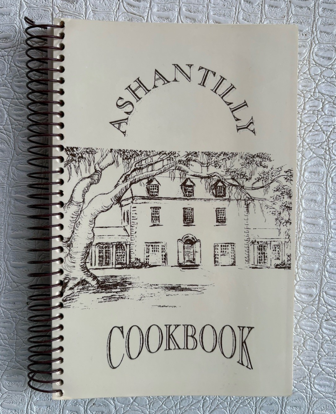 VTG Ashantilly Cookbook Darien Georgia Wire Spiral Bound Haynes Family 200 Pages