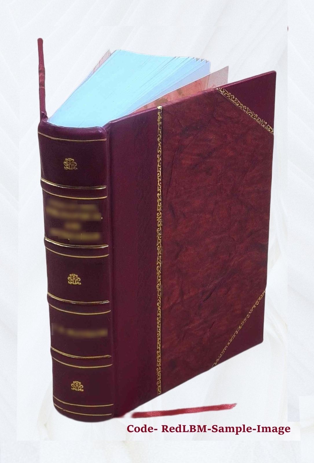 The Manufacture Of Leather: Being A Description Of All Of The Pr [Leather Bound]