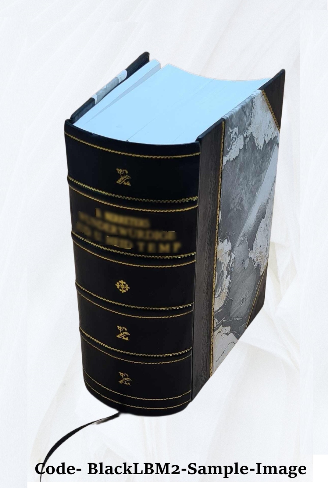 The Manufacture Of Leather: Being A Description Of All Of The Pr [Leather Bound]