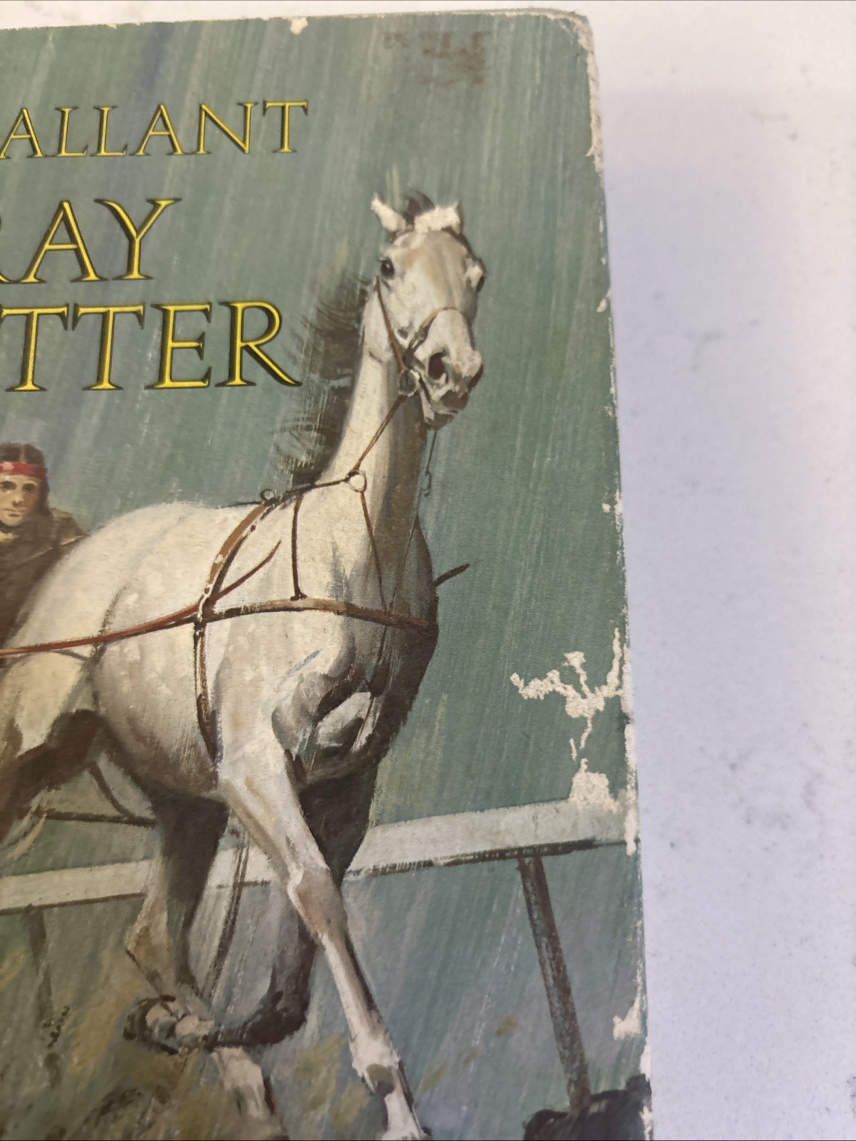 The Gallant Gray Trotter Hardcover John T. Foster
