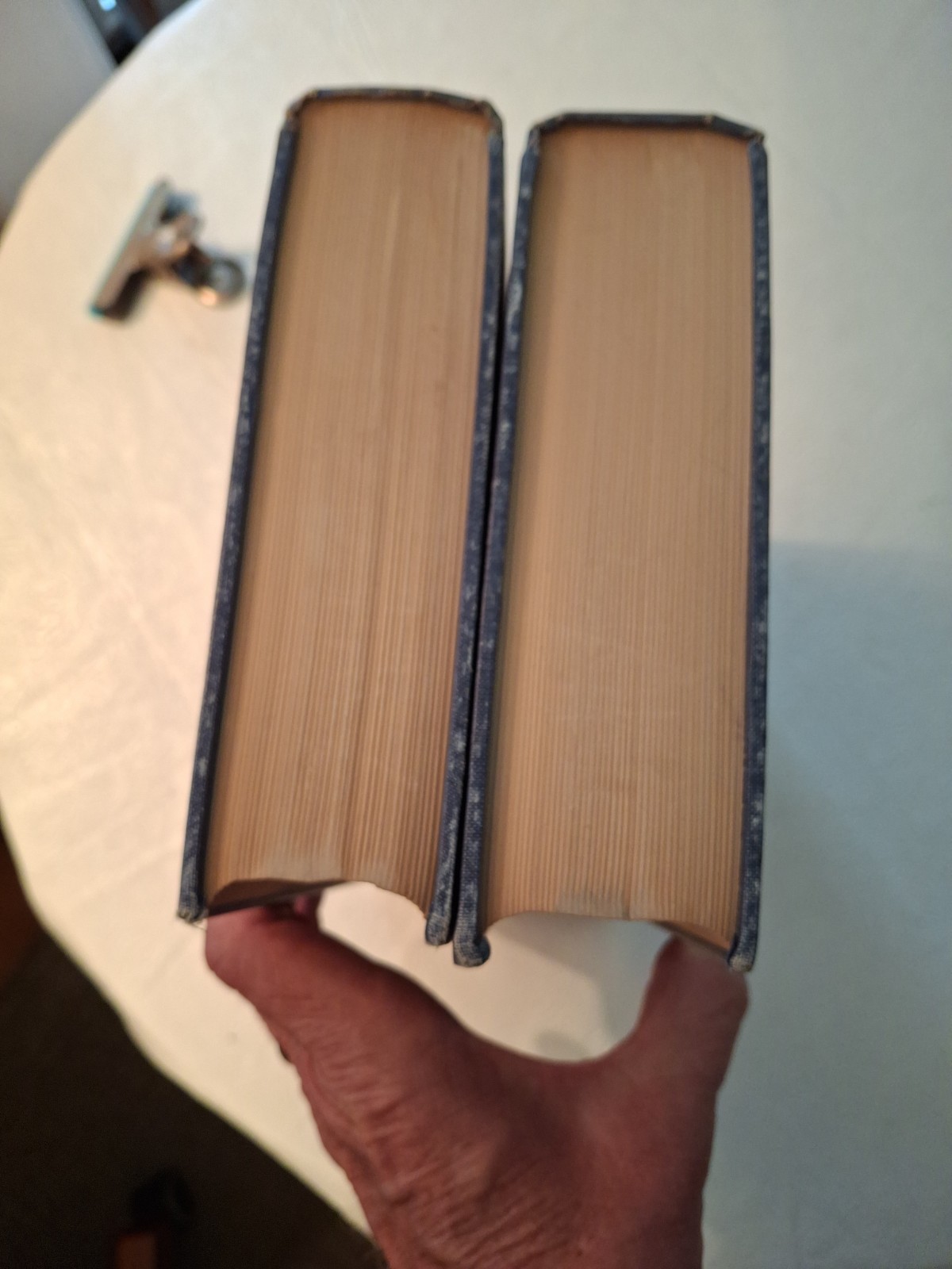 The Life of Napoleon Bonaparte by John SC Abbott 2 Volume Complete Set 1883