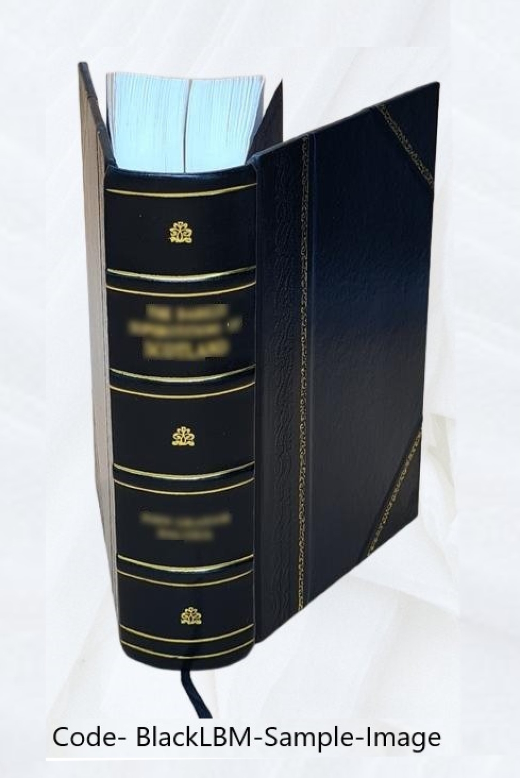 The Manufacture Of Leather: Being A Description Of All Of The Pr [Leather Bound]